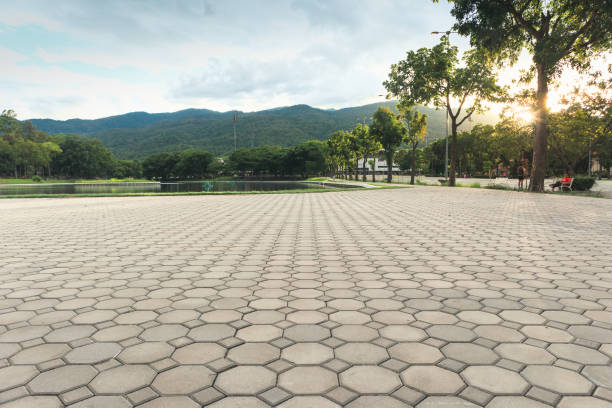 Best Local Driveway Pavers  in Sweetwater, TX