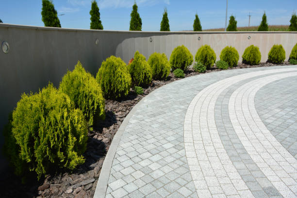 Reasons to Select Us for Your Driveway Paving Requirements in Sweetwater, TX